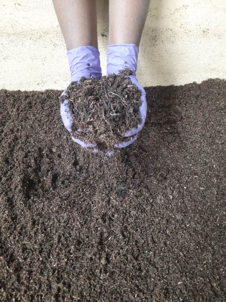 Vermicompost with C/N ratio of 30:1